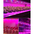 24 volt led grow strip light led strip hydroponic full spectrum led grow light